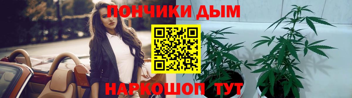 Бошки марихуана VHQ Кириши